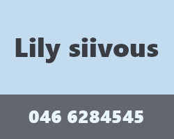 Lily siivous logo